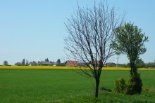 Stáří 